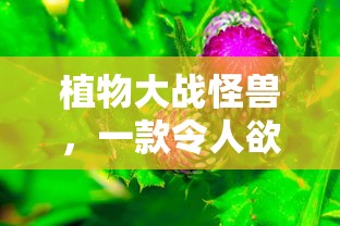 IMToken硬件钱包重置步骤详解  第1张