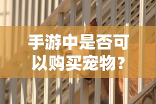 魔兽世界，DZ天赋深入解析与探索  第1张