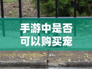 手游中是否可以购买宠物？  第1张
