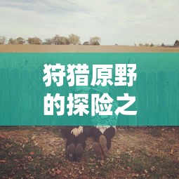 原野探险之旅，组队手游的乐趣与体验  第1张