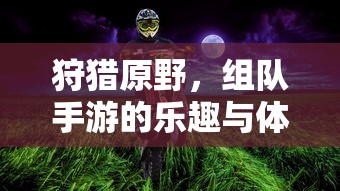 狩猎原野，组队手游的乐趣与体验  第1张