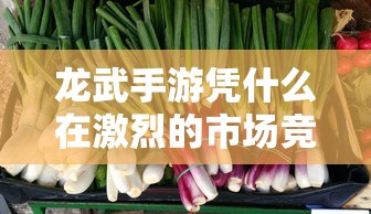 龙武手游，如何在激烈市场竞争中立足？  第1张
