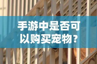 手游中是否可以购买宠物？  第1张