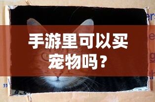 手游中是否可以买宠物的探讨  第1张