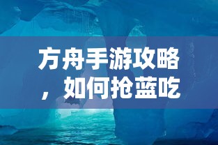 福美来323一二代  第1张