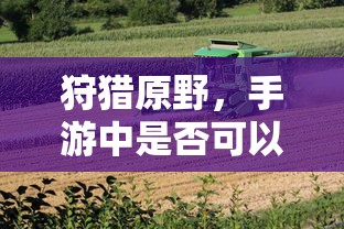 imToken莱特币地址详解  第1张