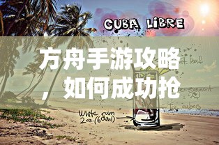 方舟手游攻略，成功抢夺蓝宝箱与食物选择指南  第1张