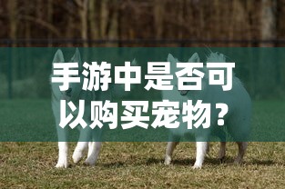 支付宝花呗客服寻找指南  第1张