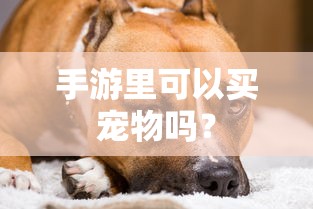 手游中是否可以买宠物的探讨  第1张