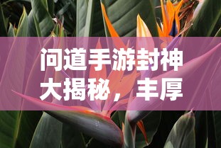 问道手游封神大揭秘，丰厚奖励一网打尽  第1张
