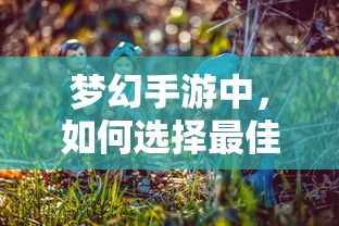 梦幻手游，孩子角色选择指南  第1张
