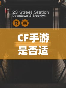 全新蓝鸟的油箱容积  第1张