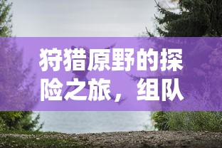原野探险之旅，组队手游的乐趣与探索  第1张