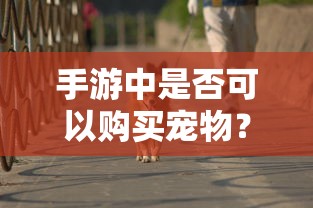 手游中是否可以购买宠物？  第1张
