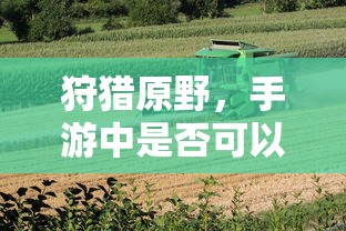 手游狩猎原野中是否支持组队狩猎？  第1张