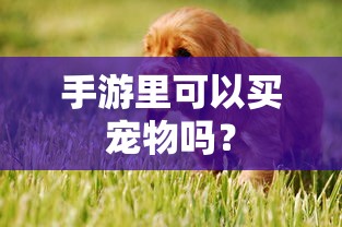 大亨手游，为何苹果版值得一试？  第1张