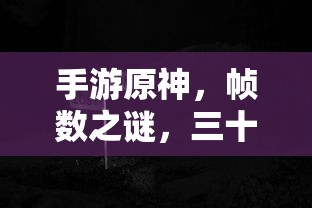 手游原神，帧数之谜，三十帧是否唯一选择？  第1张