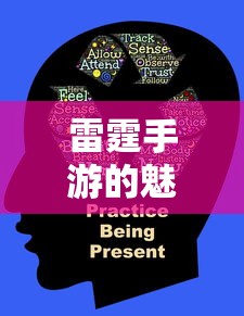 雷霆手游，探索魅力世界的乐趣之旅  第1张