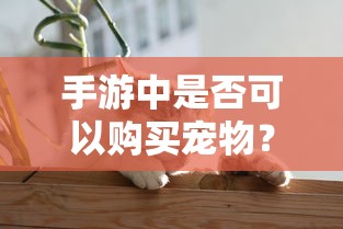 手游中是否可以购买宠物？  第1张