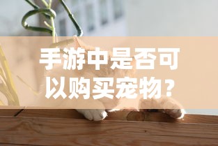部落战争，5本布局攻略指南  第1张