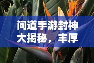 问道手游封神大揭秘，丰厚奖励一网打尽  第1张