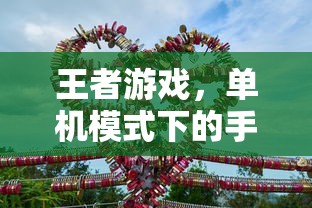 王者新体验，单机模式下的手游之旅  第1张