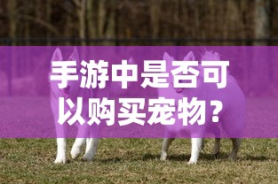沉睡之间手机版中文  第1张