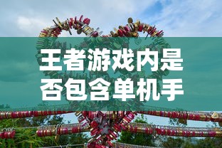 王者游戏，是否包含单机手游模式？  第1张