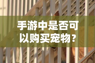 DNF金币，手游理财之道——囤积价值探讨  第1张