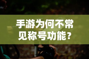 手游不常见称号功能的原因分析  第1张