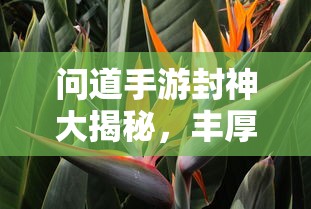 问道手游封神大揭秘，丰厚奖励一网打尽  第1张
