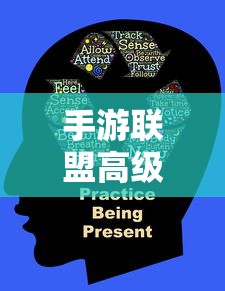 手游联盟高级设置详解，全面解析与操作指南  第1张
