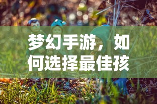 梦幻手游，如何选择最佳孩子角色？  第1张
