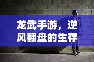 龙武手游，逆风翻盘的生存之道  第1张
