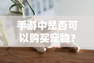 森雅m80价格及图片  第1张