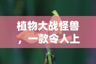 杜允琪简介  第1张