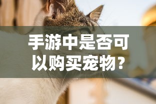 手游中是否可以购买宠物？  第1张