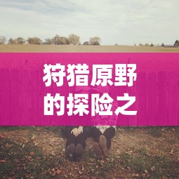 原野探险之旅，组队手游的乐趣与挑战  第1张