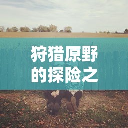 原野探险之旅，组队手游的乐趣与体验  第1张