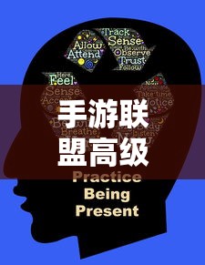 手游联盟高级设置详解，全面解析与操作指南  第1张