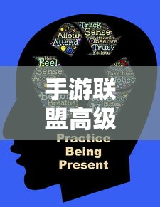 手游联盟高级设置详解，全面解析与操作指南  第1张