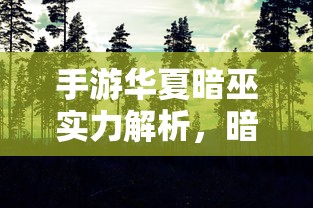 手游华夏暗巫实力解析，暗影之下的力量掌控  第1张