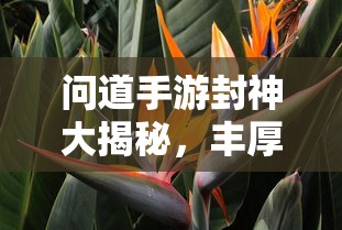 问道手游封神大揭秘，丰厚奖励一网打尽  第1张