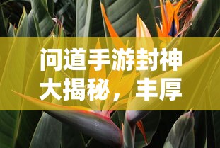 问道手游封神大揭秘，丰厚奖励一网打尽  第1张