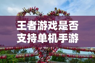 王者游戏单机手游模式支持性分析  第1张