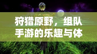 狩猎原野，组队手游的乐趣与体验  第1张