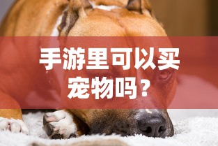 手游中是否可以买宠物的探讨  第1张