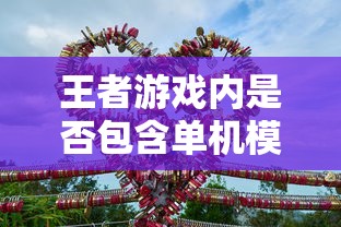 王者游戏手游体验解析，是否包含单机模式？  第1张