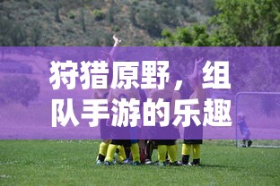 狩猎原野，组队手游的乐趣与体验  第1张
