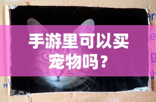 手游中是否可以买宠物的探讨  第1张